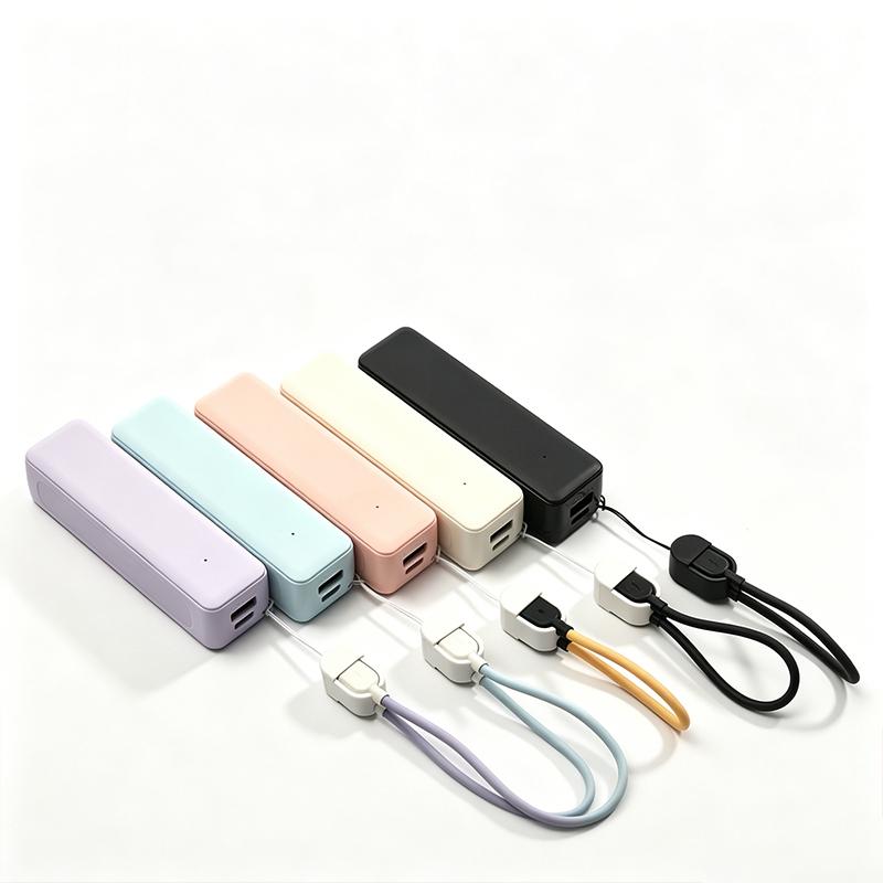 21700バッテリーパワーバンクケース ポータブル タイプC - Diy Electronics Storage のレビューと価格