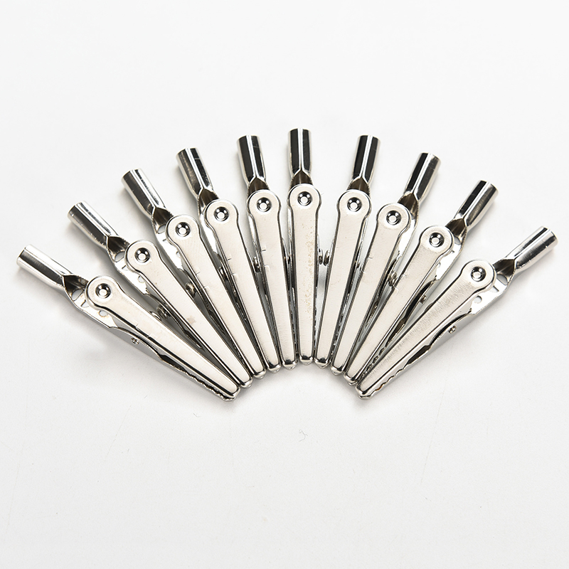 【AD】10個/セット ステンレス鋼 シングルプロング アリ - Crocodile Clip Set のレビューと価格