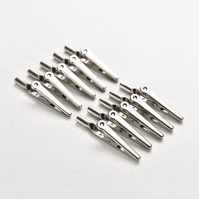 【AD】10個/セット ステンレス鋼 シングルプロング アリ - Crocodile Clip Set のレビューと価格